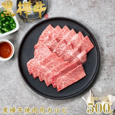 くまもと黒毛和牛 黒樺牛 A4～A5等級 牛肉カルビ 500g 250g×2【杉本本店】(美里町)