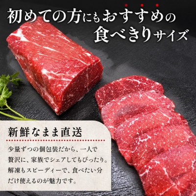 熊本赤身馬刺し200g(美里町)
