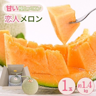 yԌ ʌzF{  ulv ԓ 1.4kg(1)yc_z