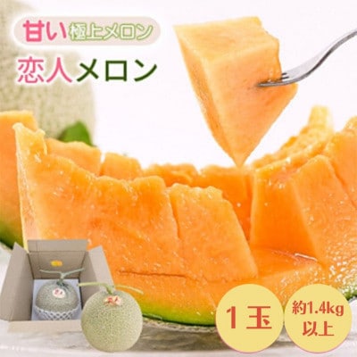 【先行受付】熊本県 美里町産 稀少な上田農園の「恋人メロン」 1.4kg以上(1玉) 赤肉