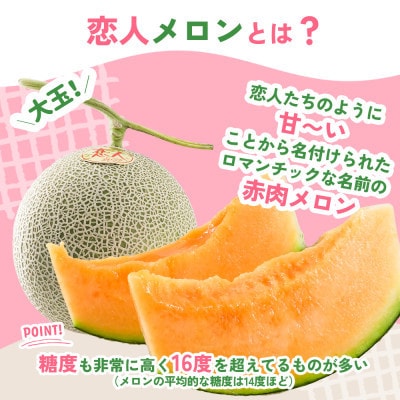 【期間限定 数量限定】熊本県 美里町 「恋人メロン」 赤肉メロン 約1.4kg(1玉)【上田農園】