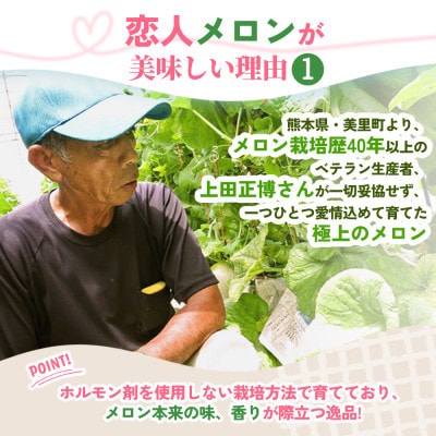 【期間限定 数量限定】熊本県 美里町 「恋人メロン」 赤肉メロン 約1.4kg(1玉)【上田農園】