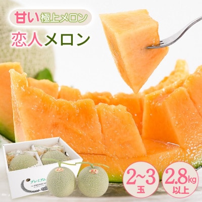 yԌ ʌzF{  ulv v2.8kg(2ʁ`3)yc_z