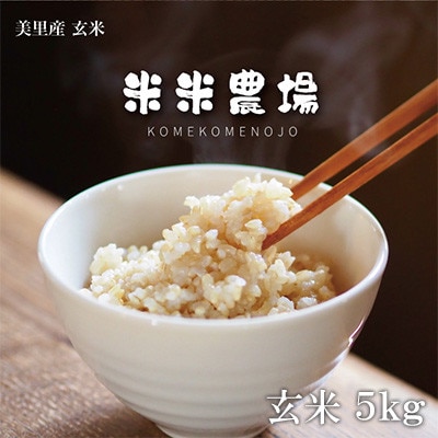 【令和7年産】九州のお米食味コンクール2年連続優勝!熊本県美里町のお米ヒノヒカリ玄米　5kg×1袋