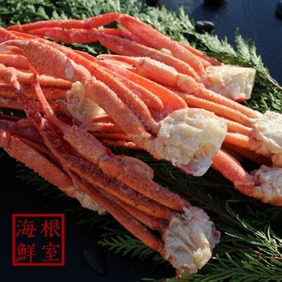 【年内配送】ズワイガニ足7～10肩(計800g前後) A-57051