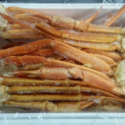 【年内配送】ズワイガニ足7～10肩(計800g前後) A-57051