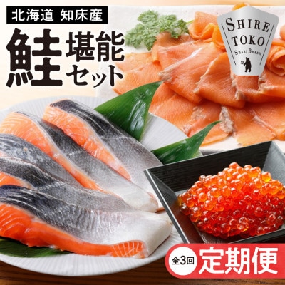 【毎月定期便】鮭堪能セット[サーモンスライス・鮭切身・鮭刺身など]全3回