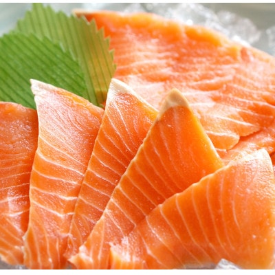 北海道知床産 知床のトキシラズ(時鮭)満喫セット　約500g
