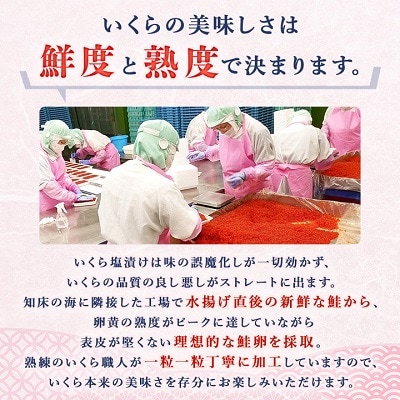 北海道知床産 鮭いくら塩漬け(塩いくら)　500g