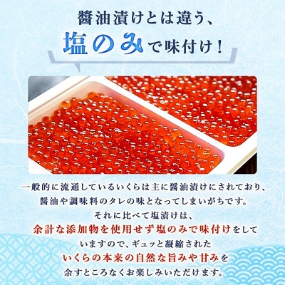 北海道知床産 鮭いくら塩漬け(塩いくら)　500g