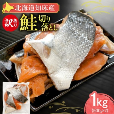 【訳あり】北海道知床産 鮭切り落とし 500g入×2個　塩鮭は解凍後焼くだけ/切身のほか貴重なカマも