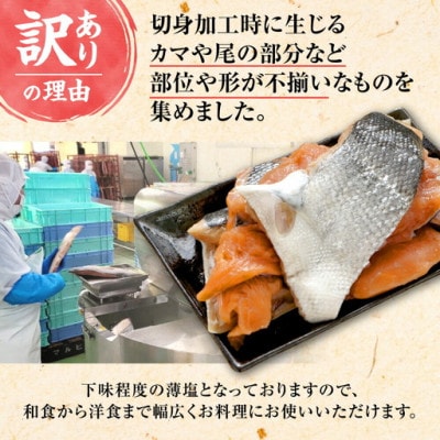 【訳あり】北海道知床産 鮭切り落とし 500g入×2個　塩鮭は解凍後焼くだけ/切身のほか貴重なカマも