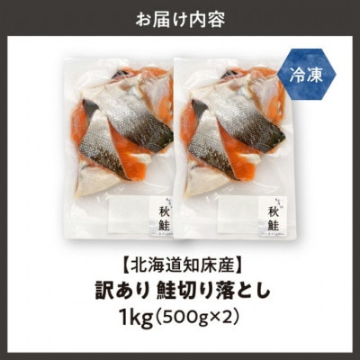 【訳あり】北海道知床産 鮭切り落とし 500g入×2個　塩鮭は解凍後焼くだけ/切身のほか貴重なカマも