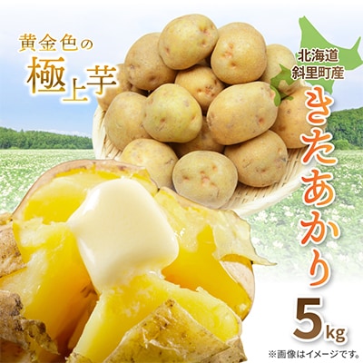 知床の大自然が育む黄金色の極上芋　きたあかり　5kg
