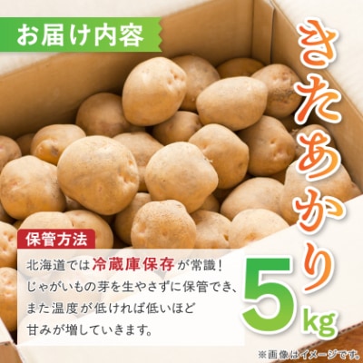 知床の大自然が育む黄金色の極上芋　きたあかり　5kg