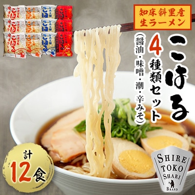 生麺「こはる」12食(4種×3食ずつ)セット
