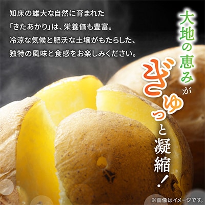 知床の大自然が育む黄金色の極上芋　きたあかり　10kg