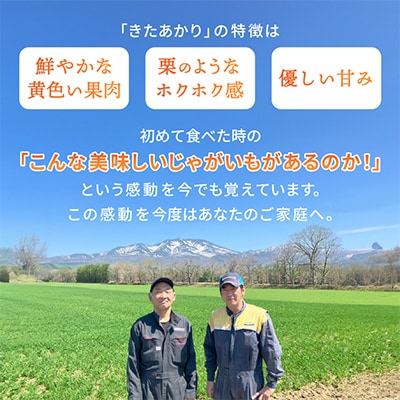 知床の大自然が育む黄金色の極上芋　きたあかり　10kg