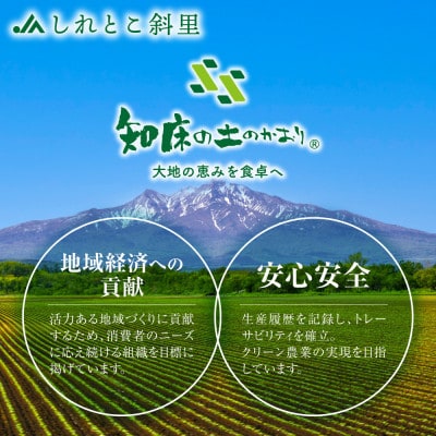 【発送月固定定期便】北海道斜里町　JAしれとこ斜里厳選【じゃがいも・にんじんジュース・玉ねぎ】全4回