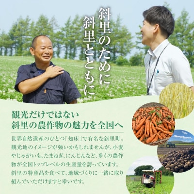 【発送月固定定期便】北海道斜里町　JAしれとこ斜里厳選【じゃがいも・にんじんジュース・玉ねぎ】全4回