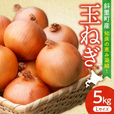 【毎月定期便】北海道斜里町　JAしれとこ斜里厳選【じゃがいも・玉ねぎ】全2回