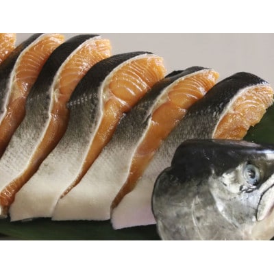 活〆 時知らず 鮭切り身 中塩仕込 天然 半身 1100g 小分け  知床斜里産