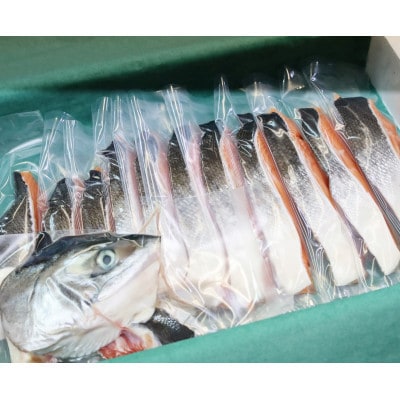活〆 時知らず 鮭切り身 中塩仕込 天然 半身 1100g 小分け  知床斜里産