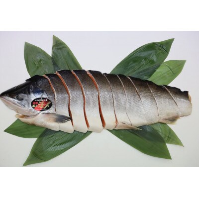ふるさと納税 活〆 時知らず鮭 切身 中塩仕込 半身 1200g 魚体3kg以上 斜里町産