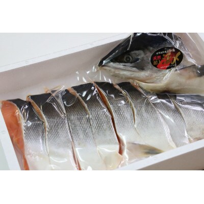 ふるさと納税 活〆 時知らず鮭 切身 中塩仕込 半身 1200g 魚体3kg以上 斜里町産