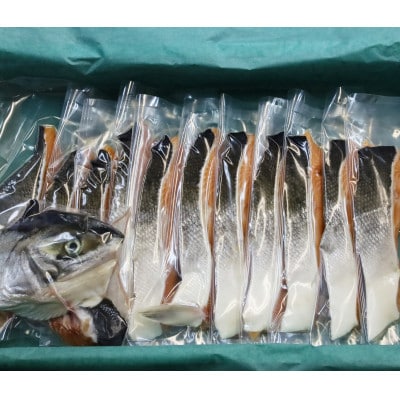 先行受付 活〆 時知らず鮭 切り身 中塩仕込 天然  半身 1200g 魚体3kg以上 小分け