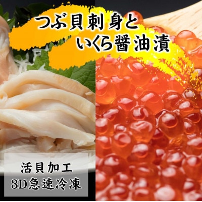 国産ツブ貝(刺身用)90g×3パック【現地加工品】と鮭卵いくら醤油漬け200g×1箱