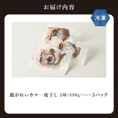 銀がれいカマ一夜干 2切れ(350g)×3パック 【とろける食感でジューシーなホホ肉が絶品】