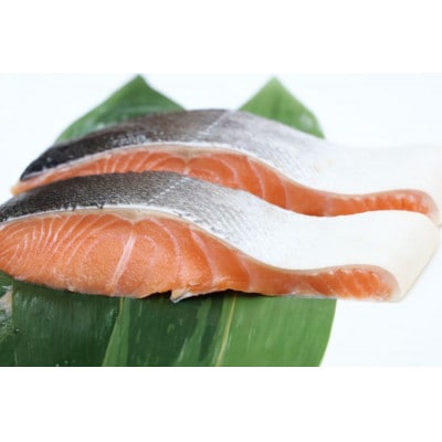 活〆 時知らず 天然 鮭切身 中塩仕込 10切(2切160g×5パック) 800g  知床斜里産