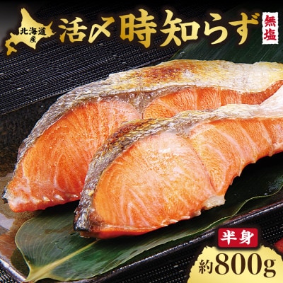 【切身小包装・無塩】天然 活〆時知らず 800g 半身分 頭なし