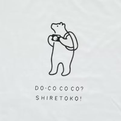 「知床トコさん」×久米繊維　コットンTシャツ　カメラ柄　Lサイズ