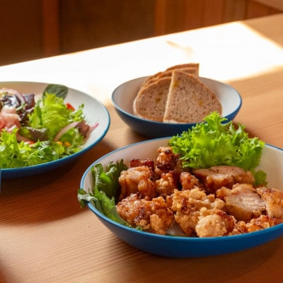 知床トコさんテーブルウェアシリーズ 丸ボウル皿 4枚セット (S)【ブルー】