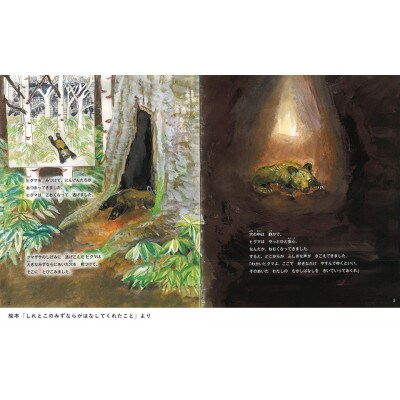 知床財団オリジナル絵本セット