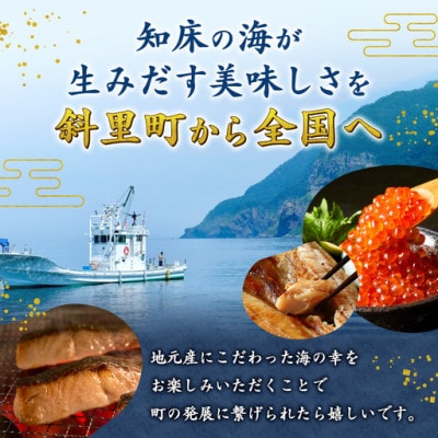 知床産　鮭ほぐし　60g×12本(計720g)【ハッピーフーズ】北海道産のサケを塩だけで味付け