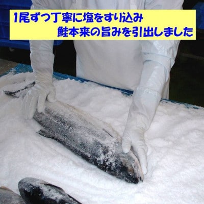 焼きたて真空パック　そのまま使える知床産塩焼鮭切身【20個入り】
