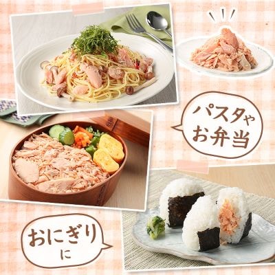 【毎月定期便】鮭ほぐし 業務用 1kg 山漬け 製法で うまみたっぷり 鮭【ハッピーフーズ】全3回