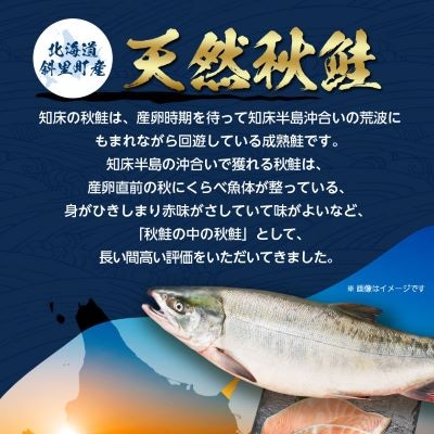 【訳あり】北海道斜里町産　骨なし天然秋鮭切身 2kg【無添加】