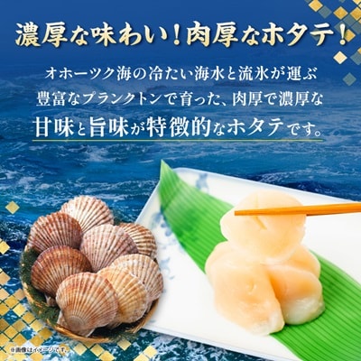 【北海道産】オホーツク海産ホタテ玉冷 1kg【無添加】