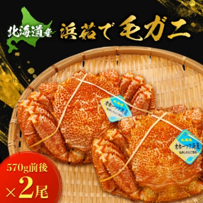 北海道産　浜茹で毛ガニ　570g前後×2尾