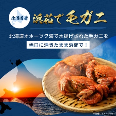北海道産　浜茹で毛ガニ　570g前後×2尾