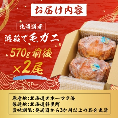 北海道産　浜茹で毛ガニ　570g前後×2尾