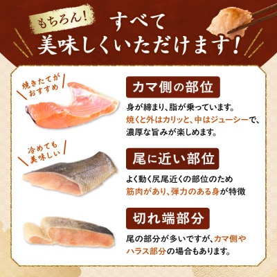 【訳あり・厳選】北海道産　無塩鮭切り身　オス厳選 約1.4kg(約18切れ)1切れずつ小分け真空