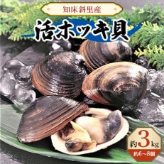 知床斜里産 活ホッキ貝(約6～8個)約3kg