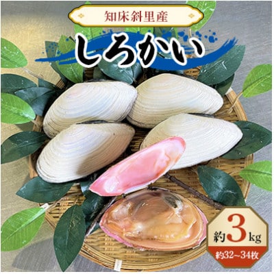 知床斜里産　しろかい(約32～34枚)約3kg