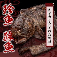 ＜数量限定＞知床斜里産の珍魚「オオカミウオ」!話題作りにいかがですか?【凍眠にて冷凍しています】