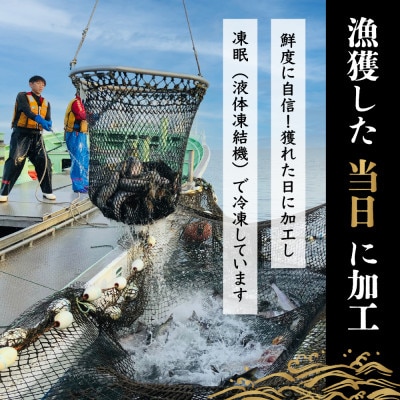 <数量限定>知床斜里産の珍魚「オオカミウオ」!話題作りにいかがですか?【凍眠にて冷凍しています】